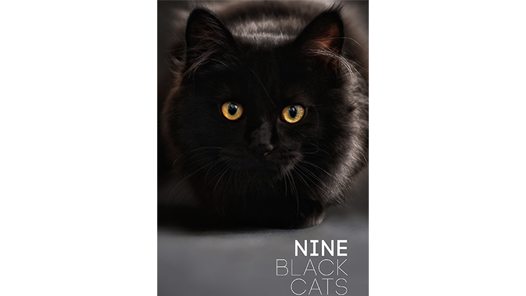 Nine Black Cats by Neema Atri DRM Protected Ebook Download